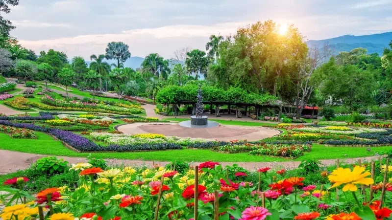 Bogor Botanical Gardens, A Lush Oasis of Biodiversity and Scientific Research in Indonesia